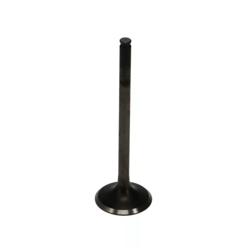 Photo - Primary