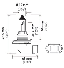 Hella 9006 12V 55W Halogen Bulb